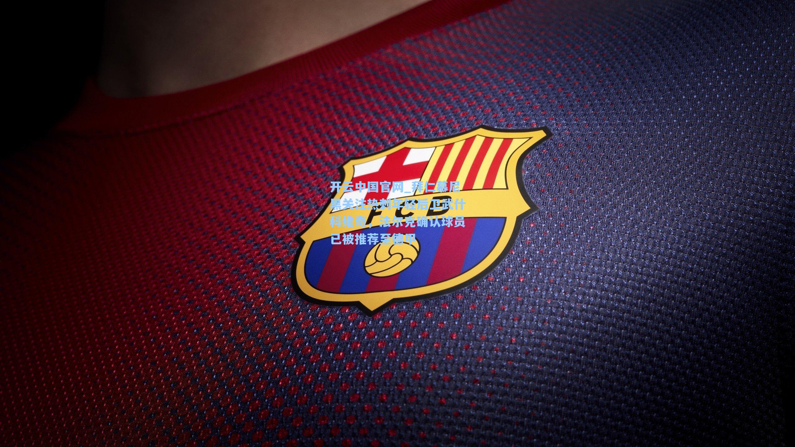 开云中国官网_拜仁慕尼黑关注热刺年轻后卫武什科维奇，法尔克确认球员已被推荐至德甲