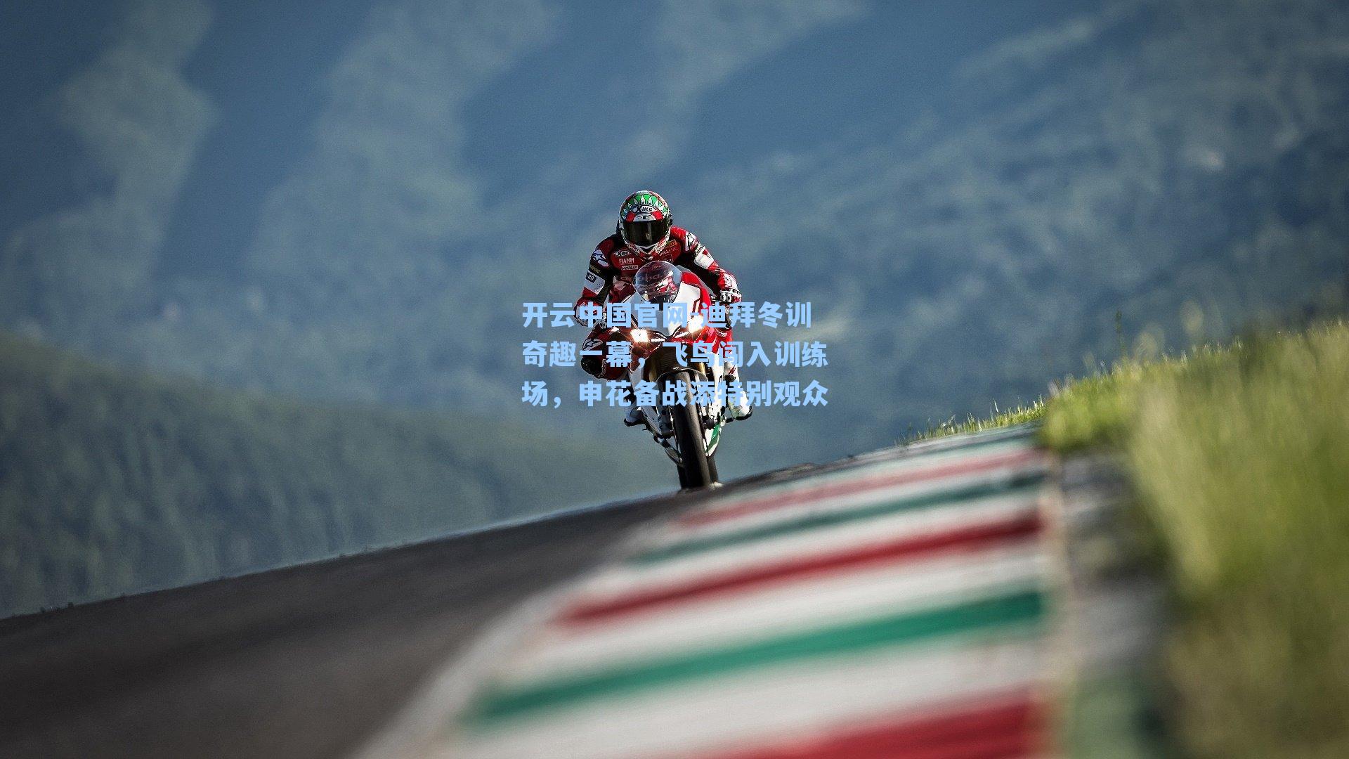 迪拜冬训奇趣一幕,飞鸟闯入训练场,申花备战添特别观众